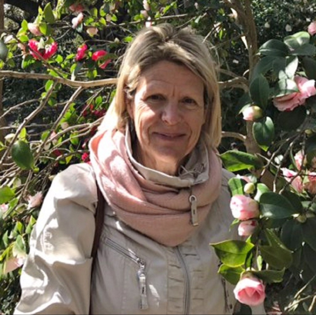 Qualified and Professional Guide; Tour Guide; Tourist Guide; Certified Tourism Guides, Official list of Tourism Information Professionals of the Autonomous Region of Madeira, in accordance with the ordinance nr 61/2017; visitmadeira.pt; SNATTI; Walking Tours, Cultural Tours, Sightseeing Tours; Bust Tours, Coach Tours, Best Tour Guides, Top Tour Guides, Madeira; Portugal