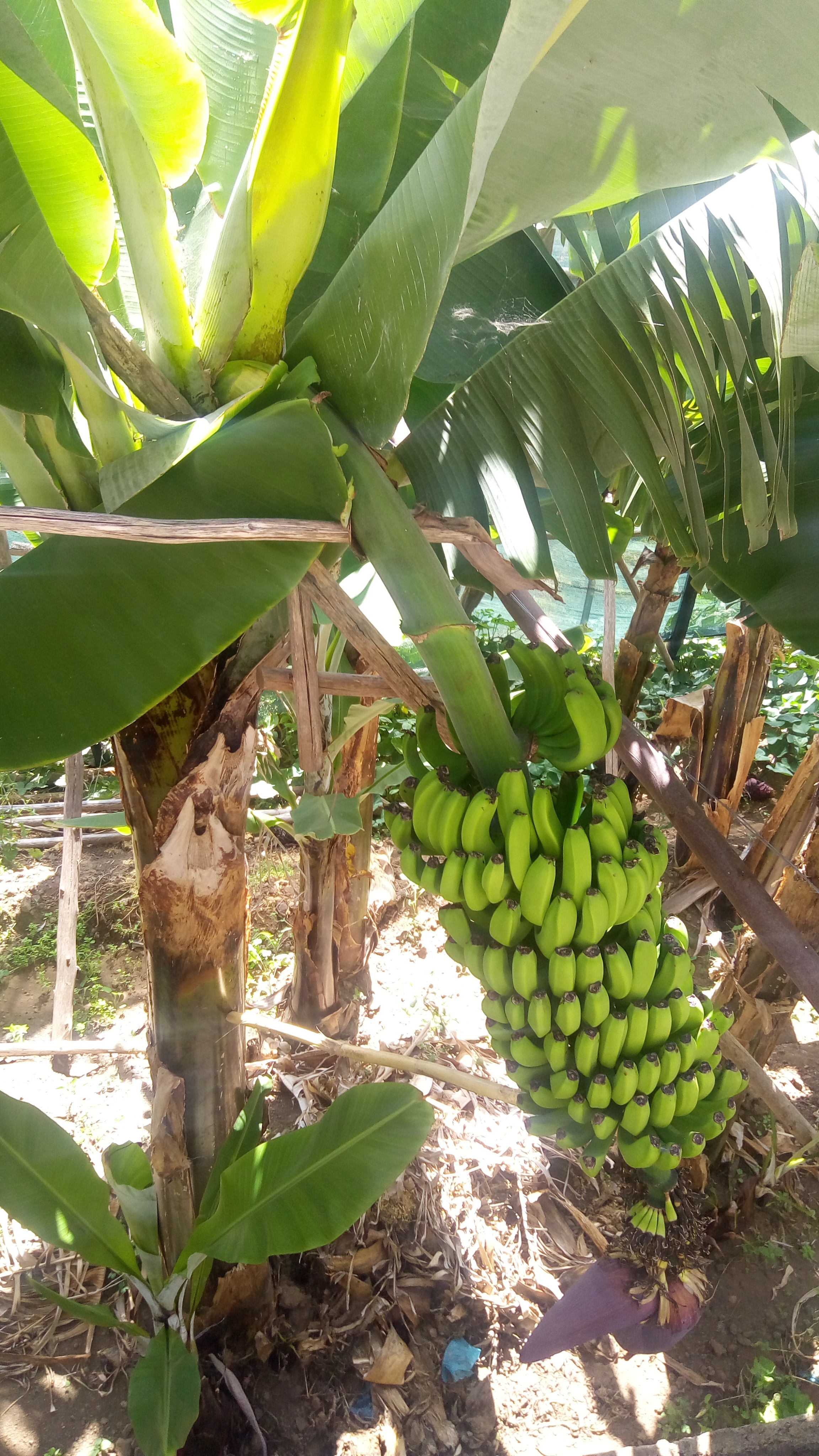 P_20170821_121018_BF