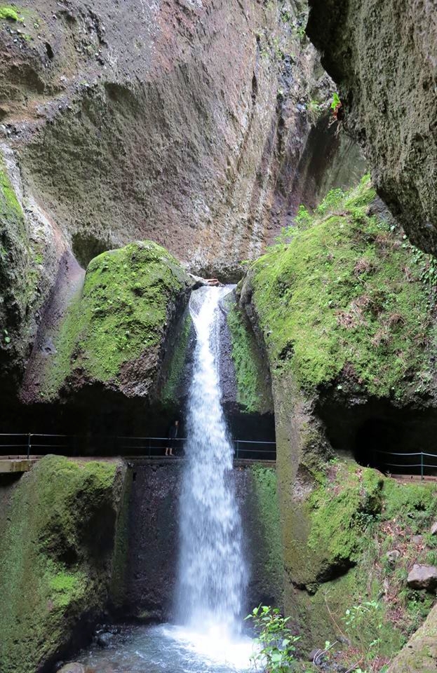 15319239_10209926413231093_4906163001930549646_n